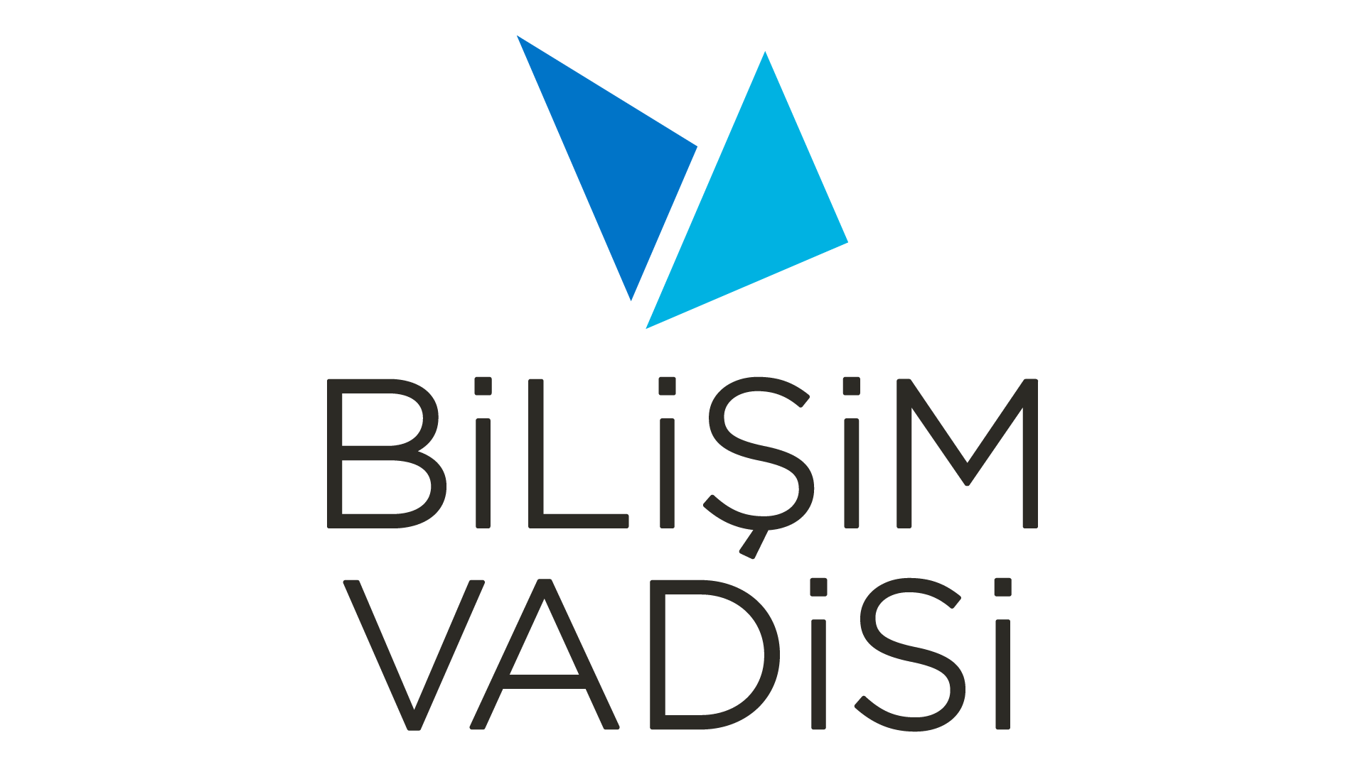 BİLİŞİM VADİSİ